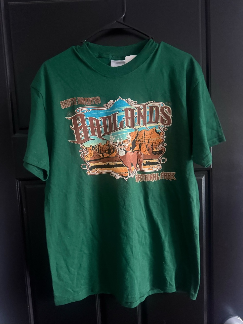 Hanes Forest Green Graphic Tee with Multicolor Print
